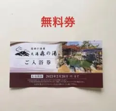 箱根 森の湯 温泉 無料チケット ひとり旅 日帰り温泉 チケット