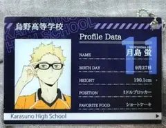 ハイキュー 月島蛍 プロフィールカードキーホルダー シークレット