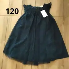 Item thumbnail for item 12d56c02-3b87-4a93-acc1-6295356d80c5