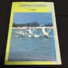 ハクチョウと生きる 昭和発行