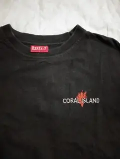 古着！【Hanes Beefy-T】 CORAL ISLAND TシャツLサイズ