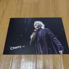 玉置浩二　会報誌　Cherry vol.45