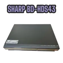 Item thumbnail for item 5b9c45ce-445f-407c-8b9f-88fe6141b133