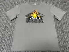 Reebok メンズTシャツ チャコールグレー