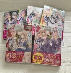 王子様に溺愛されて困ってます : 転生ヒロイン、乙女ゲーム奮闘記 １巻〜６巻