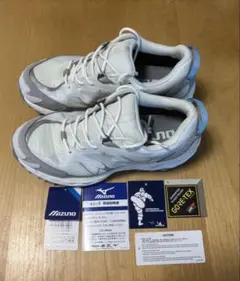ミズノウェーブムジンTL GTX 26cm