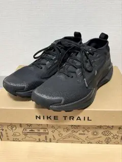 (26.5cm)ナイキ ペガサス トレイル 5 GORE-TEX メンズ