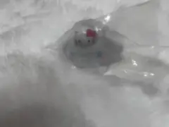 シナモン　ガチャ