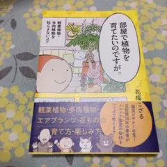 部屋で植物を育てたいのですが。 : 観葉植物・多肉植物を枯らさないコツ