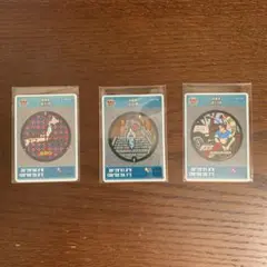 群馬県 渋川市 マンホールカード3枚セット