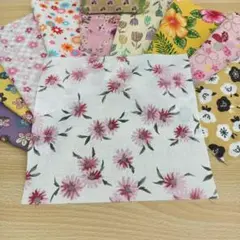 ★A500★ カットクロス/プリント生地/国産/25cm×25cm/10点