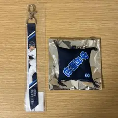 西武ライオンズ 大相撲 ミニ座布団キーホルダー/ガチャ ボンフィン 中村剛也