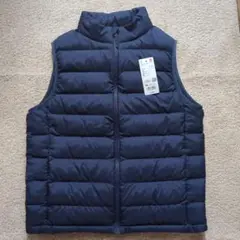 Item thumbnail for item 153881f4-0bb9-4663-8267-808e1a725158