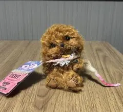 テディベア　犬　ぬいぐるみ　アーティスト　作家　メリーソート シュタイフ の