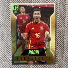 panini top class ロドリ