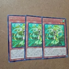 遊戯王　珠の御巫フゥリ　3枚　字レア