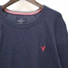 アメリカンイーグルアウトフィッターズ ブルークルーネックカットソーサイズM/M