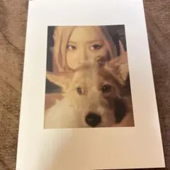 ブラックピンク　ロゼ　写真集　レア物
