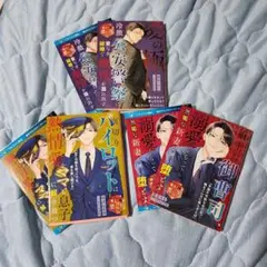 ベリーズ文庫 極上の悪い男シリーズ 3冊