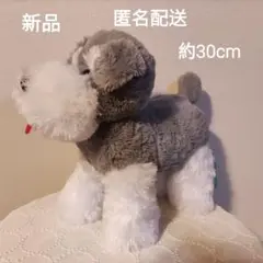シュナとボブすたんだっぷ　ぬいぐるみ　新品　未使用