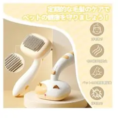 Item thumbnail for item d4ce5142-c98f-4429-8755-869b56f3bbfa