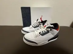 値下げ中‼︎Nike Air Jordan 3 Retro SE-T CO JP