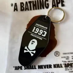 Item thumbnail for item 6834c7df-1efc-4eb9-a19d-d8cea5a3cab4