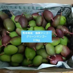 2025年最新】摘果マンゴー 2.5kgの人気アイテム - メルカリ