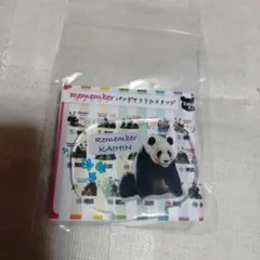 アドベンチャーワールド パンダ アクリルスタンド　ガチャ 海浜