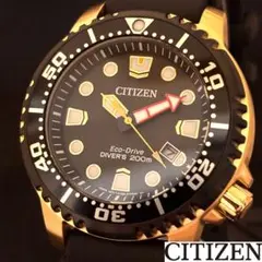 【CITIZEN】シチズン/エコドライブ/メンズ腕時計/プロマスター/展示品