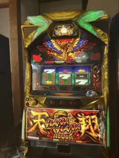ハナハナ天翔　データカウンター付き（グラフあり） ハナハナホウオウ～天翔～-30】設定4・5・6各100台超、合計326台