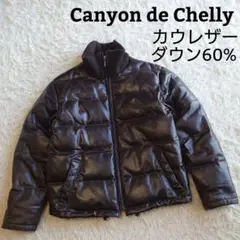 Canyon de Chelly ブラウンレザージャケット vintage 本革 Canyon de Chelly ブラウンレザージャケット vintage 本革