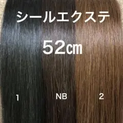 Item thumbnail for item 8704645c-b24f-417e-9de5-7628a0ea87d0