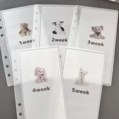 weekly ぬいぐるみ 貯金 saving リフィル バインダー 家計管理