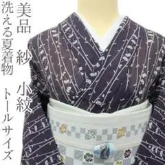 美品 洗える夏着物 トールサイズ 紗 小紋 着物 A3372