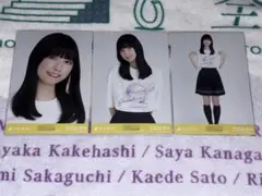 乃木坂46 生写真　五百城茉央真夏の全国ツアー2023Tシャツ 東京verコンプ