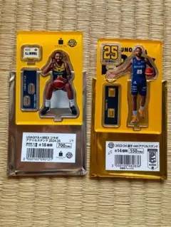 宇都宮ブレックス　#25 DJニュービル選手　アクリルスタンド