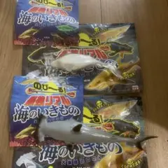 最強リアル　海のいきもの　シュモクザメ　2種　レア含む