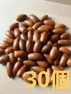 Item thumbnail for item 59fb9b45-9e38-45d2-ac60-281b98ea0d6b