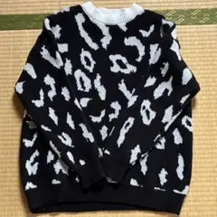 Item thumbnail for item ef183a6e-2c70-49c8-8327-585be1d90304