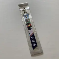 【五月晴れフェスタ】ボンフィン【つばみ】
