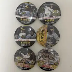 阪神タイガース　イチオシ缶バッジ　木浪聖也