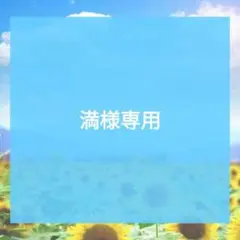 専用　手描きイラスト