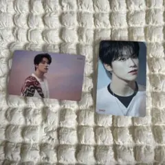 SEVENTEEN ディノ トレカ 舞い落ちる花びら HMV 特典
