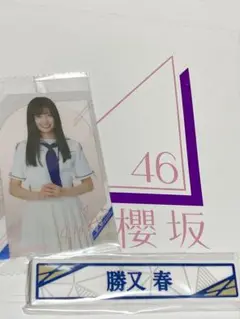 Item thumbnail for item a63d567c-97f6-4d42-a440-c96420fd5573