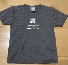 Item thumbnail for item 96c2e43f-6ce8-4d23-a08e-97ae61446f10