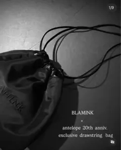 Item thumbnail for item e7036543-9a19-422c-8b65-9a7670e46b74