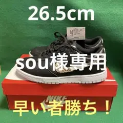ナイキウィメンズダンクLOW SE 26.5cm