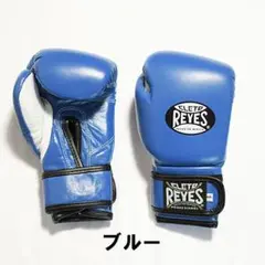 キッズグローブ【ブルー】
