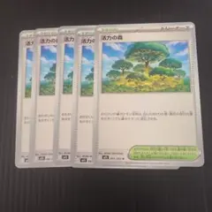活力の森　5枚